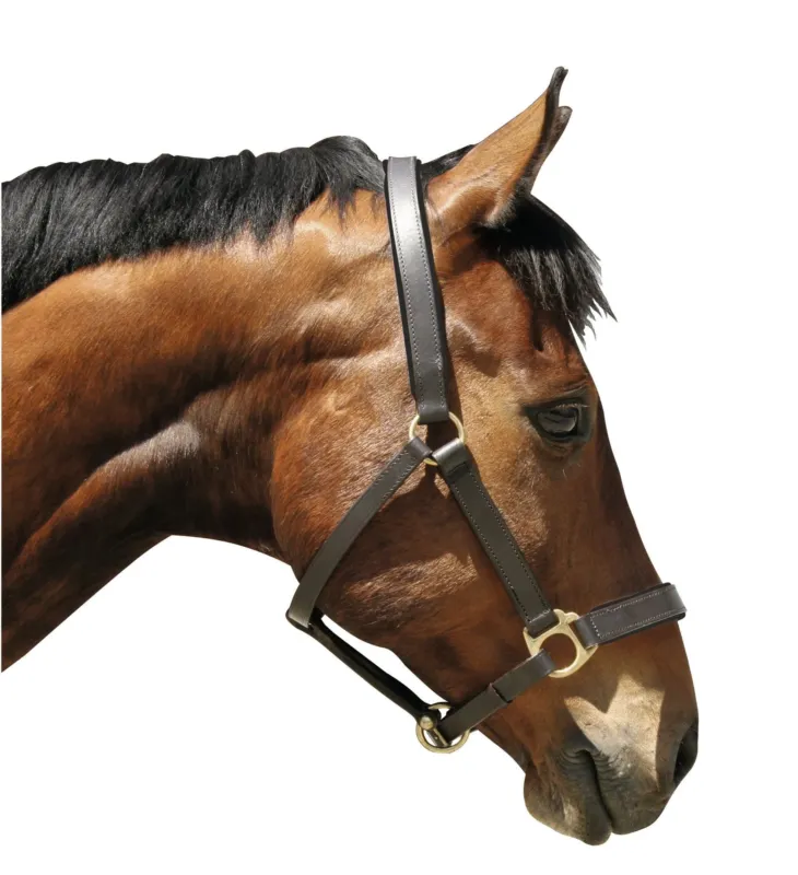 Licol cuir Eco Covalliero - Cheval - Marron Marque