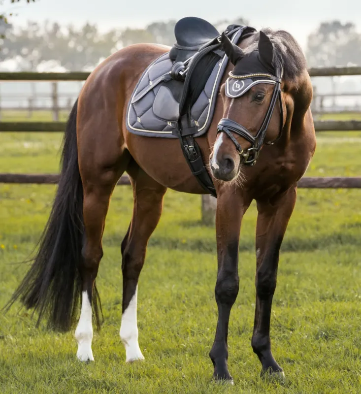 Tapis de Selle CSO Night Collection Back On Track - Cheval - Gris Offre Spciale