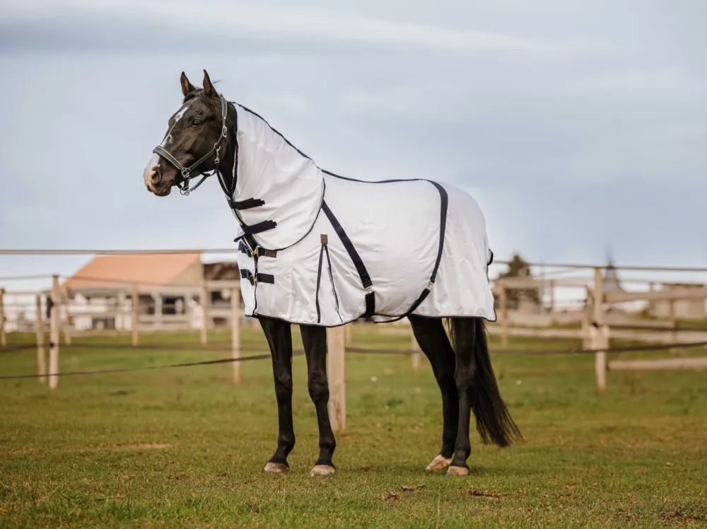 Couvre-cou Equithme Mesh - Cheval - Blanc Certifi