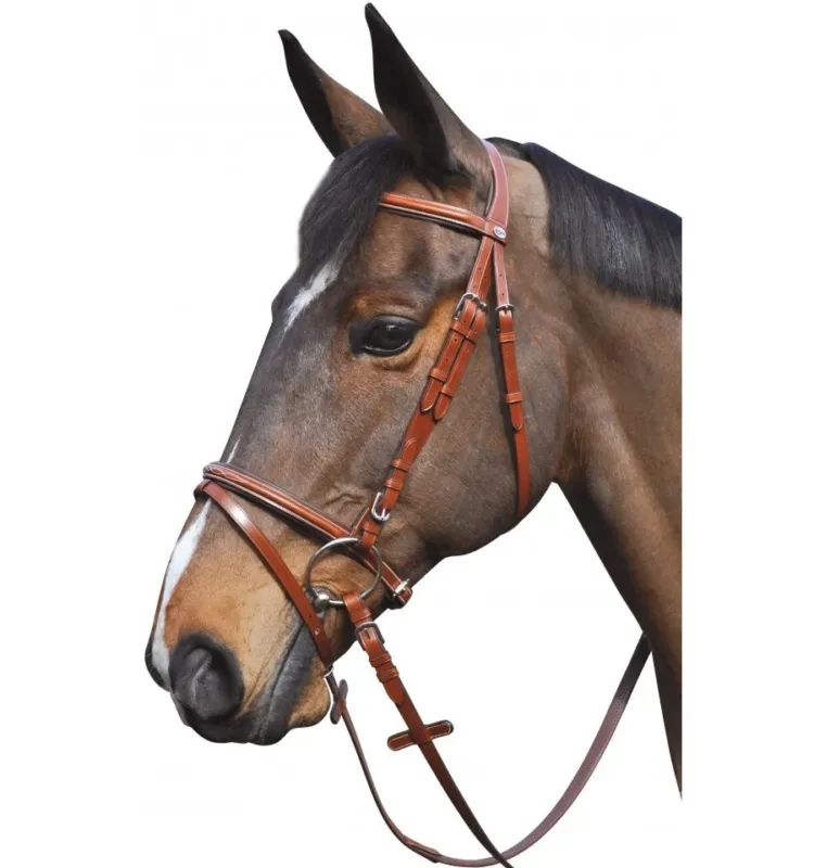 Bridon Lexington Denver Combine - Cob - Camel Promotion Saisonnire