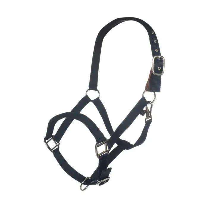 Petit Prix Licol Breakaway 2 HKM - Poney - Vert