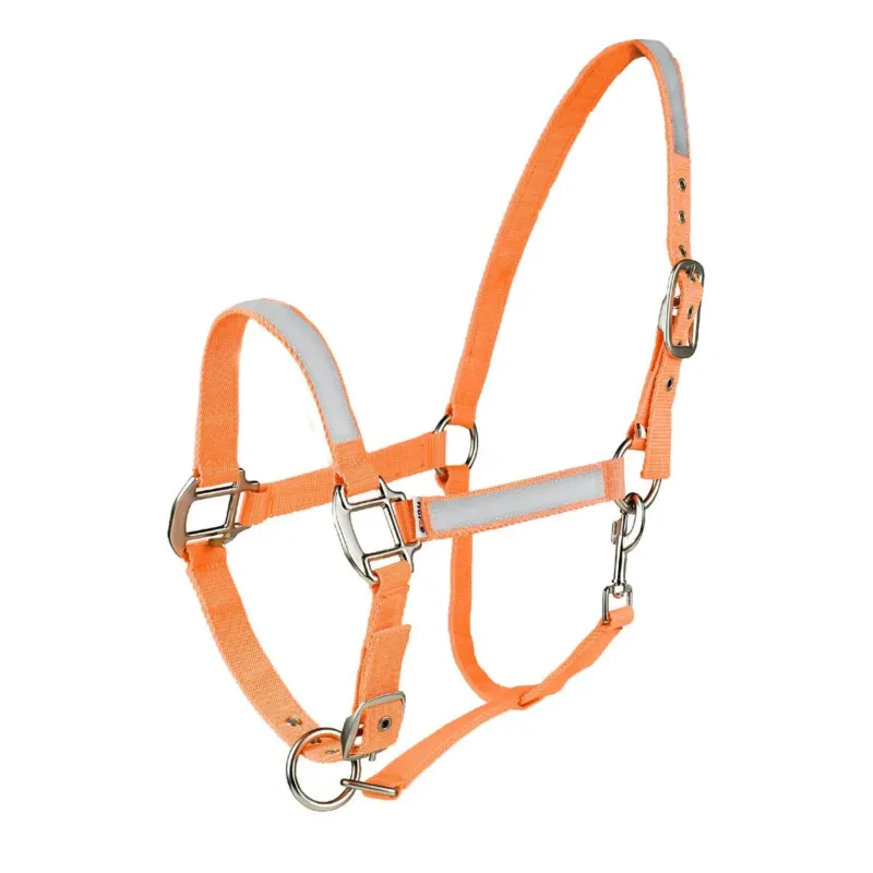 Licol Fluo Horze - Cheval Meilleure Vente