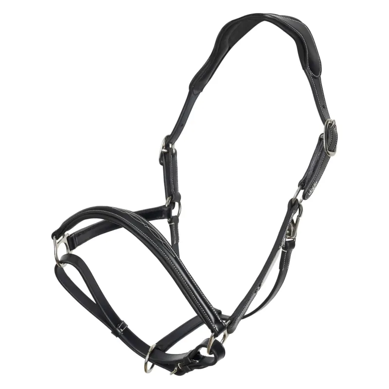 Prix Choc Licol HV Polo Legacy - Poney - Noir