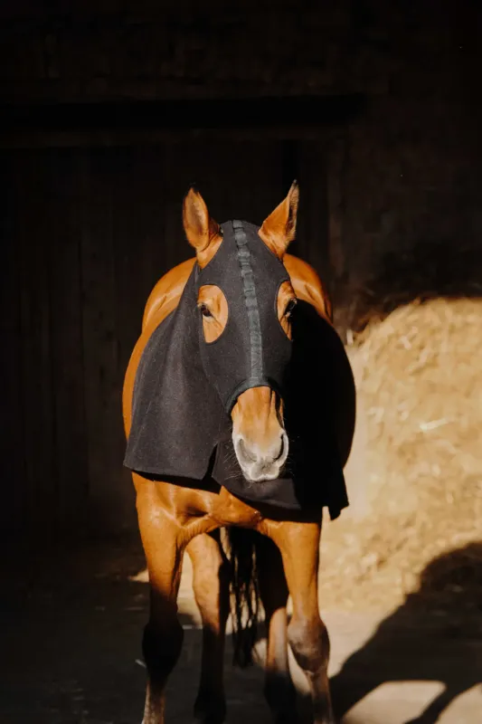 Protection de cou intgrale Equithme Polaire - Poney - Noir Offre Du Jour