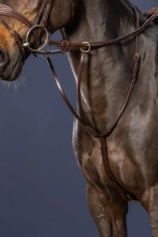 Martingale A Anneaux D Collection by Dy'on - Grand cheval - Brun Usine Directe