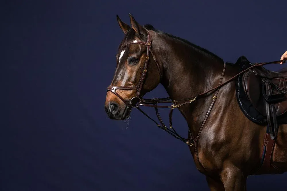 Remise Fourchette Howlett D Collection by Dy'on - Poney - Brun