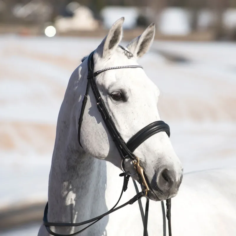 Bride Weymouth Vienna Horze - Grand cheval Solde