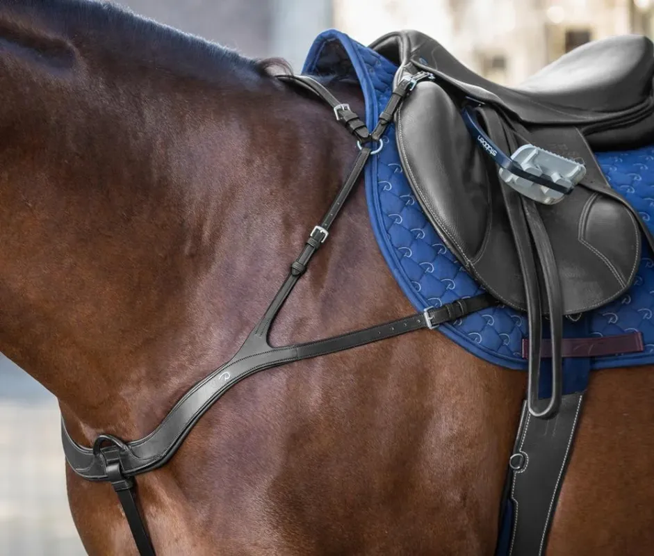 Collier De Chasse Anatomique New English Collection by Dy'on - Cheval - Noir Jusqu puisement Des Stocks