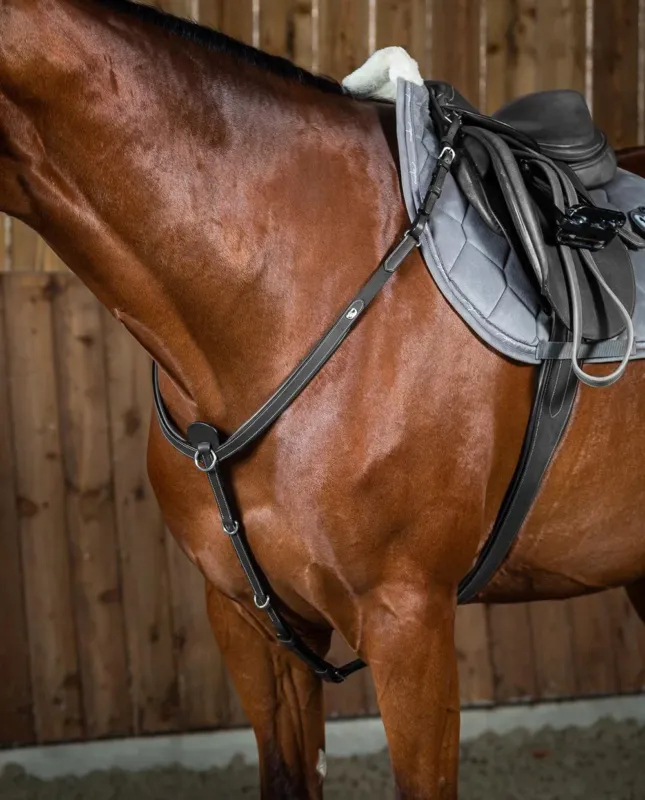 Collier De Chasse Working By Dy'on - Cheval - Noir Achetez Aujourdhui