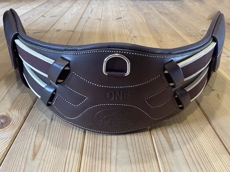 Sangle de dressage Jump'In One - 50 cm - Havane Expdition Rapide