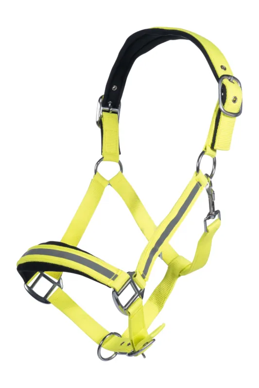 Licol Reflective HKM - Cob - Jaune fluo Vente Flash