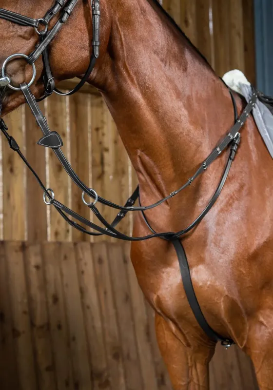 Martingale A Anneaux Working By Dy'on - Cob - Noir Dernire Chance