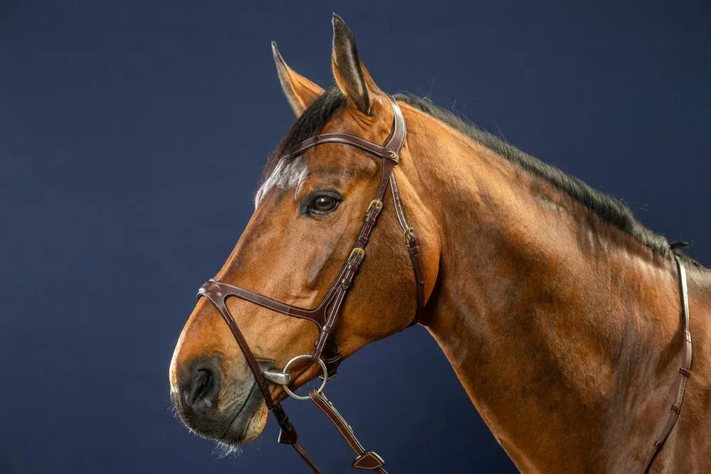 Bridon X-Fit D Collection by Dy'on - Grand cheval - Brun Prix Bas