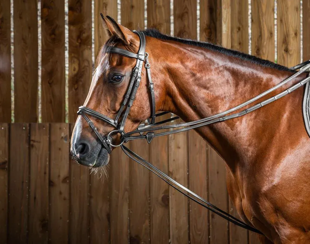Marque Rnes allemandes Hunter 1/2 Working By Dy'on - Poney - Noir
