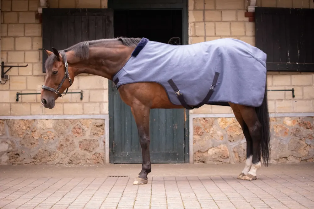 Couverture Walker Wooltouch Paddock Sports - 150 cm - Blanc chin Meilleure Vente