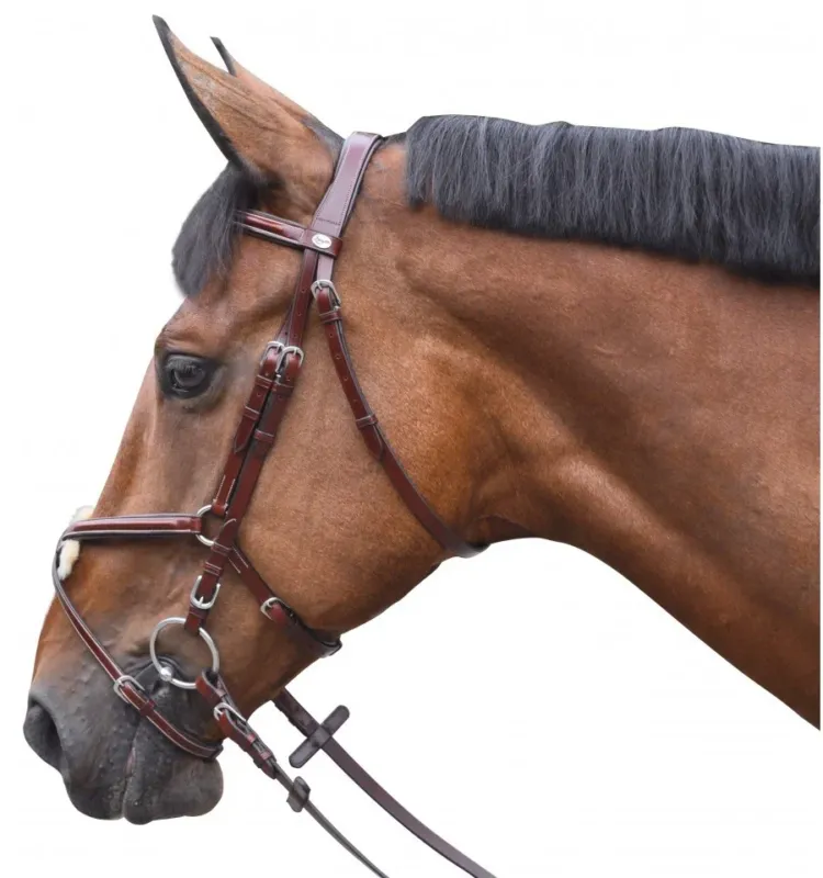 Bridon Lexington Austin Croise - Cob - Noir Satisfait Ou Rembours