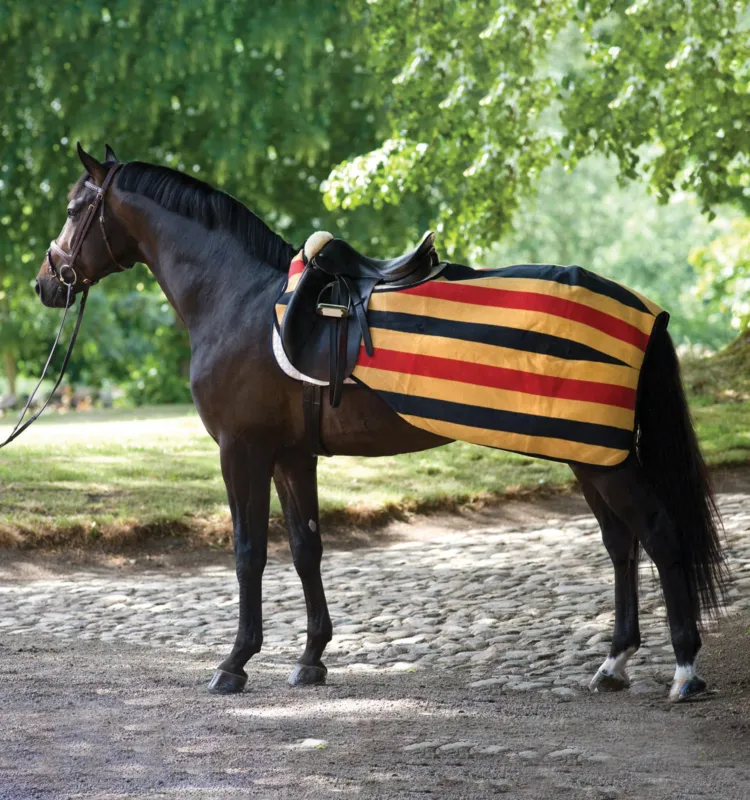 Couvre-reins Horseware Rambo polaire 0g - L - Or blanc Offre Exclusive