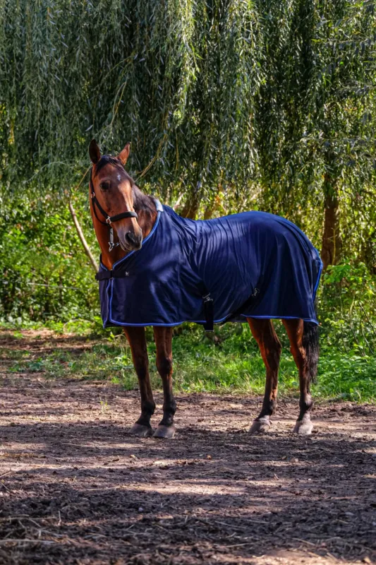 Populaire Couverture en maille fine Riding World - 150 cm - Bleu marine