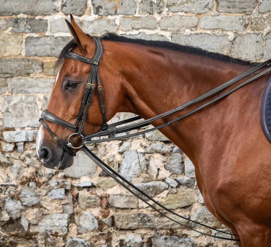 Rnes allemandes Full Leather 1/2 D Collection by Dy'on - Poney - Noir Jusqu puisement Des Stocks