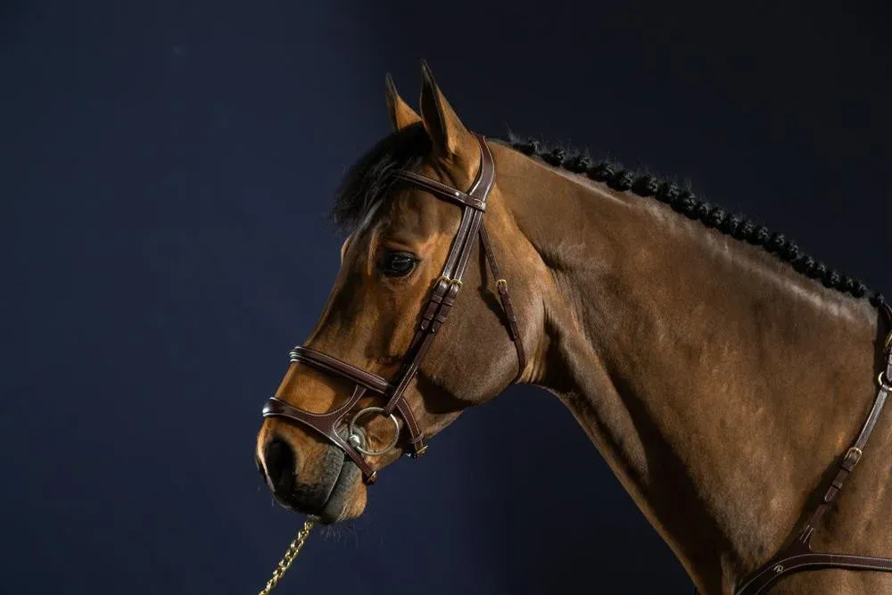 Marque Bridon Double Muserolle D Collection by Dy'on - Cheval - Marron