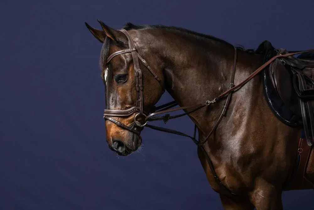 Rnes Howlett Caoutchouc 1/2 Avec 7 Arretoirs Working By Dy'on - Cheval - Brun Bon Plan