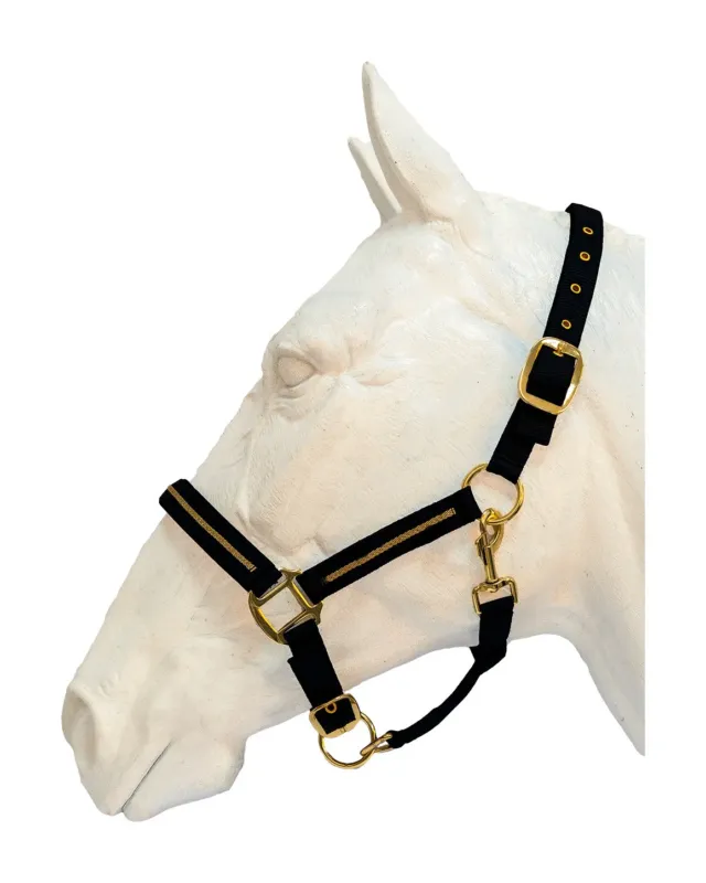 Bon March Set licol et longe Flags & Cup Nossy - Cob - Noir