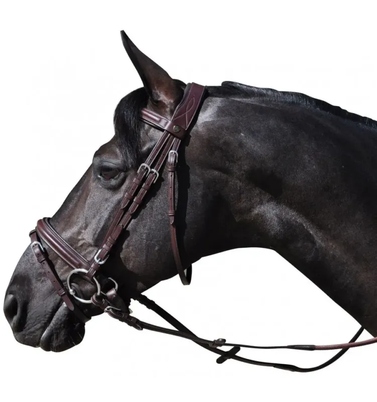 Prix Promo Bridon Hickstead Flags & Cup - Cob - Marron