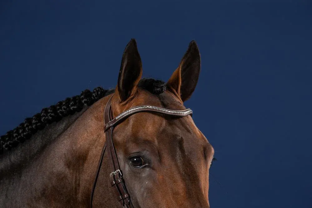 Frontal V Clincher Argent US Collection by Dy'on - Cob - Brun Commander Vite