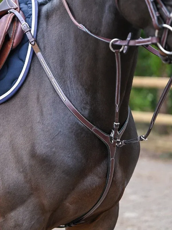 Collier de chasse Clincher et martingale Jump'In One Premium - Cob - Havane Pas Cher
