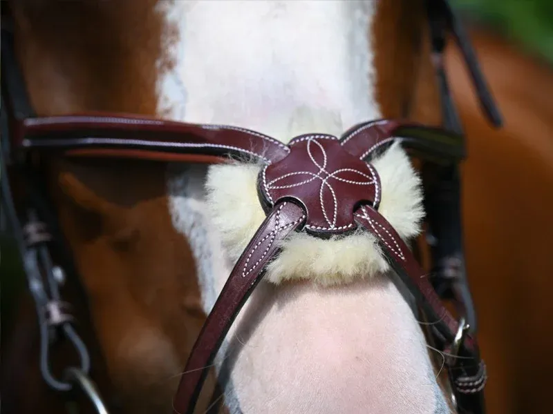 Muserolle Tuesday Jump'In - Cheval - Acajou Haute Qualit