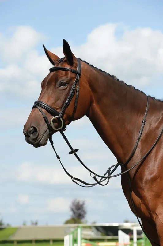 Martingale plate Syntovia+ Collegiate - Grand cheval - Noir Meilleur Prix