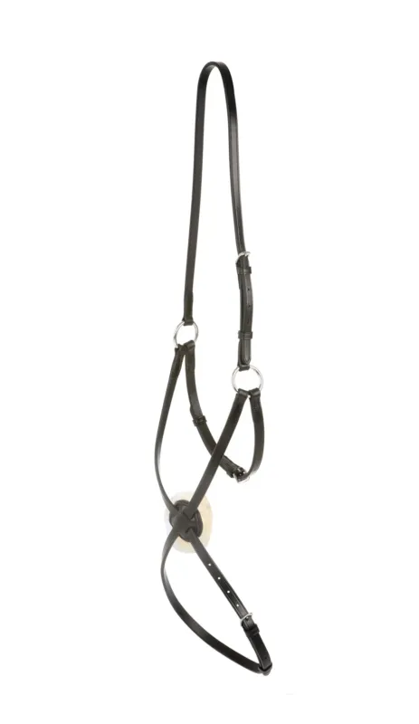 Muserolle grackle IV Collegiate - Cob - Noir Promotion Saisonnire