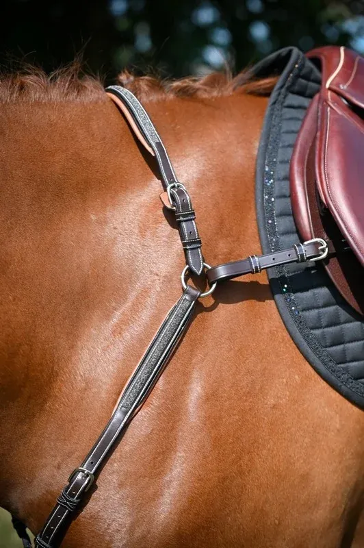 Commander Maintenant Collier de chasse Jump'In Crystal week - Cob - Havane