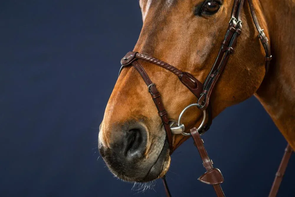 Nouvel Arrivage Bridon Muserolle Corde Recouverte de Cuir New English Collection by Dy'on - Cheval - Brun