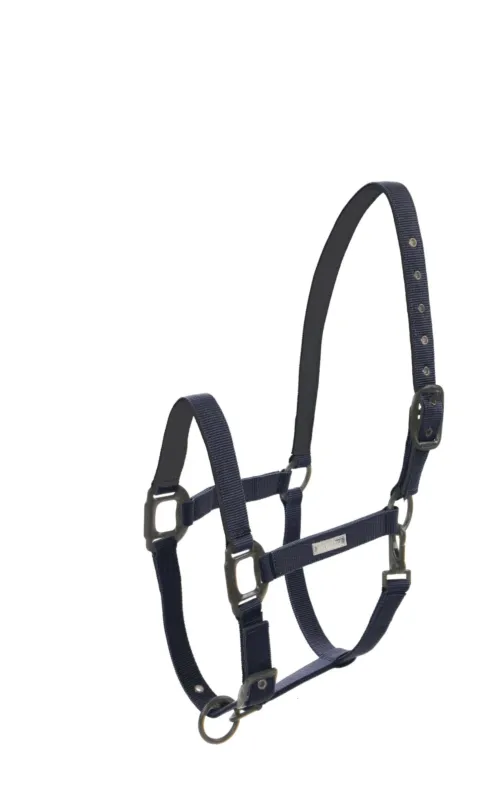 Satisfait Ou Rembours Licol Lami-Cell Midnight – Pur sang – Marine