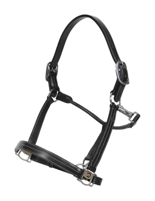 Petit Prix Licol US avec Ajustements Dy'on Working Collection - Grand cheval - Noir