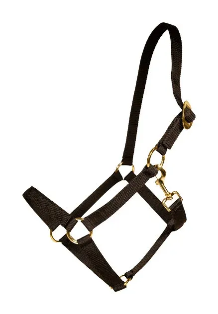 Licol en Nylon Kentucky - Cob - Noir Affaire Saisir