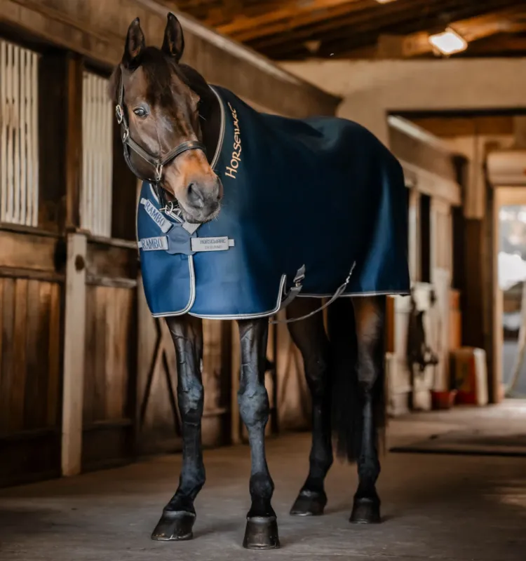 Offre Exclusive Chemise schante Horseware Rambo Airmax Cooler Disc - 130 cm - Marine / orage / gris argent