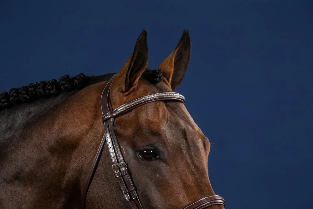 Frontal Droit Clincher Argent US Collection by Dy'on - Cob - Brun Acheter Direct