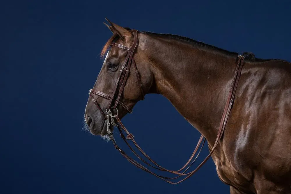 Jusqu puisement Des Stocks Bride Muserolle Combine US Collection by Dy'on - Grand cheval - Brun