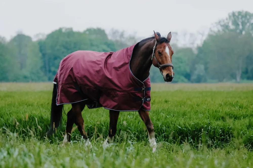 Couverture Equithme Tyrex 1200D High Neck - 165 cm - Marine / bordeaux Dernier Modle