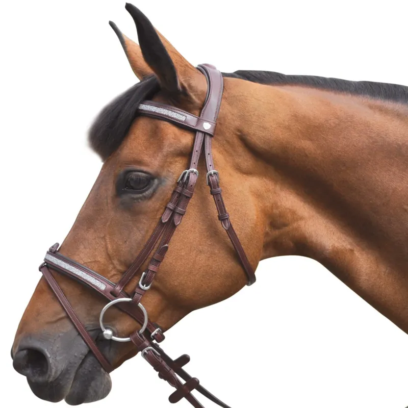 Offre Exclusive Bridon Flags & Cup Kitsi - Cheval - Noir