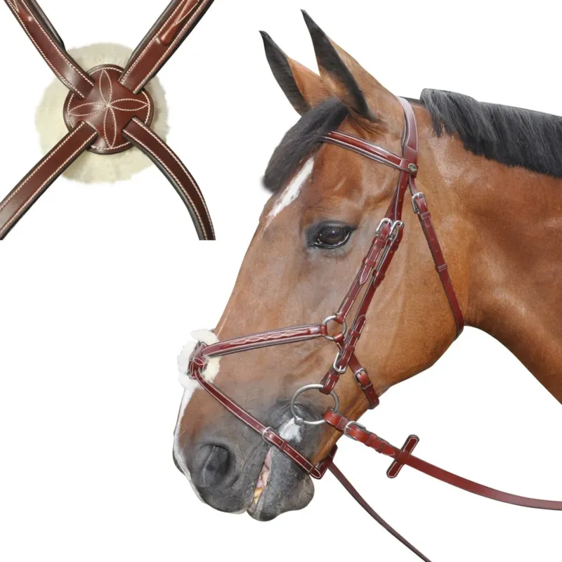 Bridon Lexington Denver Croise - Cob - Camel Meilleur Prix