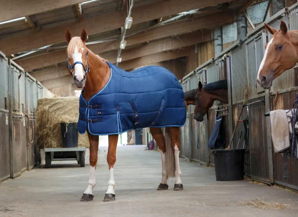 Dernire Chance Couverture d'curie Riding World - 145 cm - Marine / bleu ciel