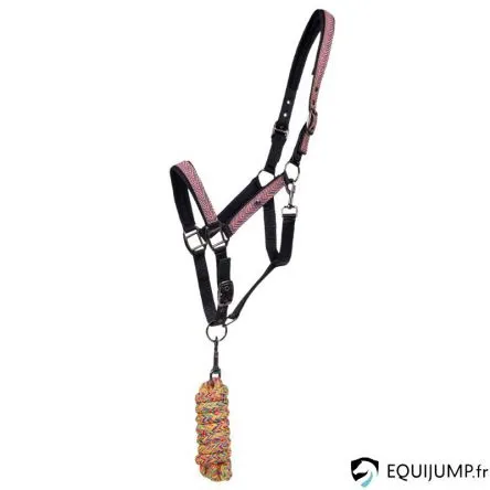Meilleur Choix Duo Licol Et Longe Colorful QHP - MULTICOLORE - PONEY