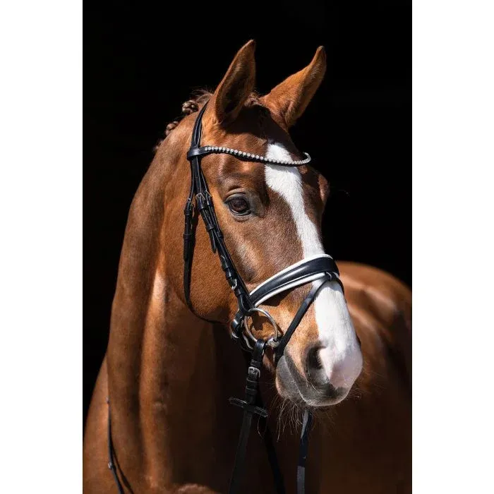 Meilleur Choix Bridon Flora HKM - Poney - Noir