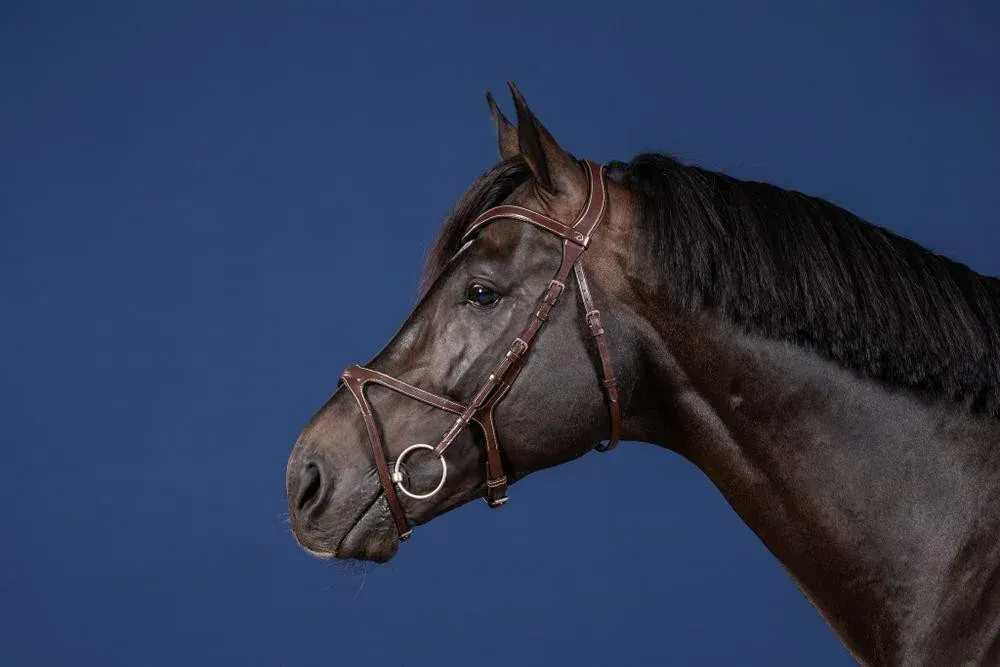 Prix Bas Bridon X-Fit US Collection by Dy'on - Cob - Brun
