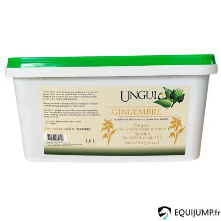 Gingembre 1,6L Ungula# Meilleur Prix