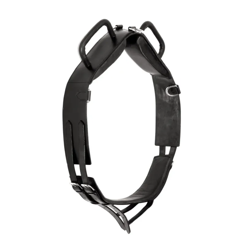 Meilleure Vente Sangle de Voltige en Cuir Chetak Supreme - Cob - Noir