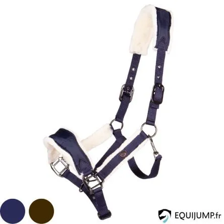 Licol Classy Qhp - BRUN - PONEY Bon Plan